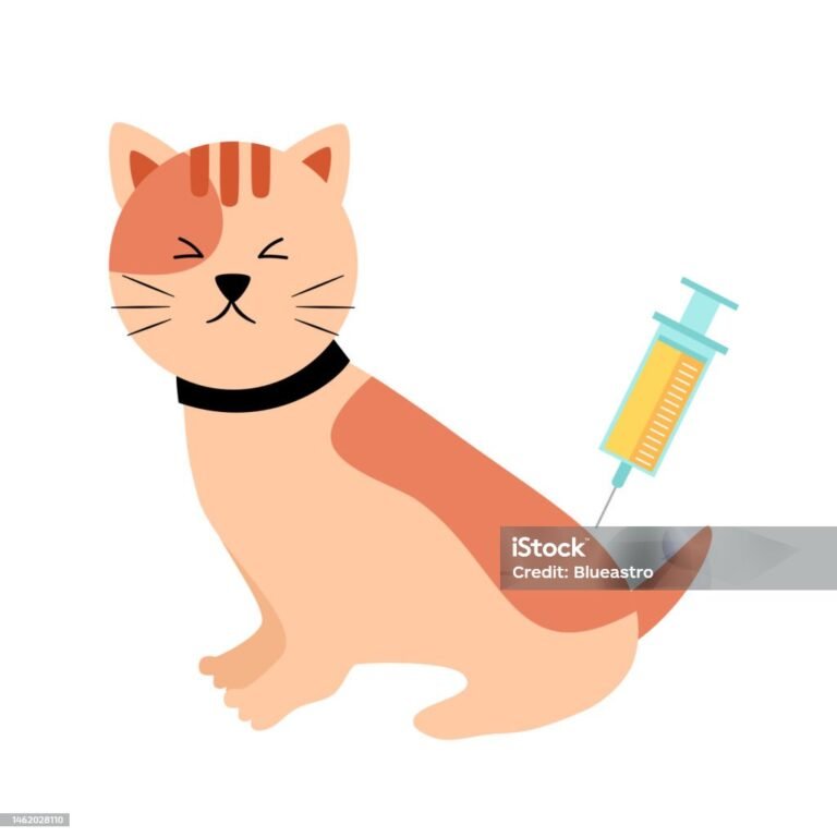 Parvo in Cats