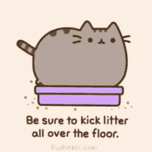 Why Cats Play With Poop