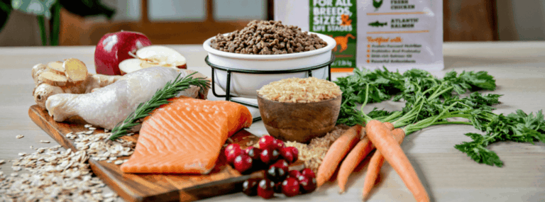 Superfoods for Felines