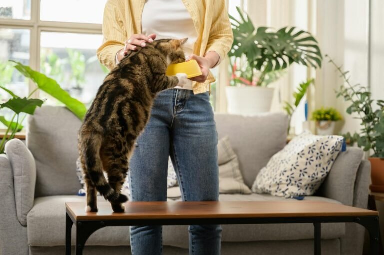 A woman feeds her pet cat indoors, showcasing trust and bonding in a cozy home setting.