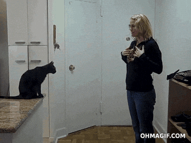 Cats and Jumping
