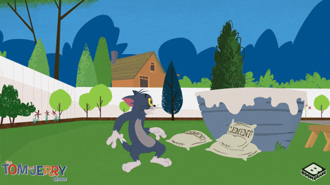 Do Cats Really Have Nine Lives?