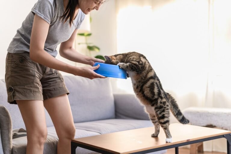 A woman feeds a curious cat indoors, creating a playful moment in a cozy living room.