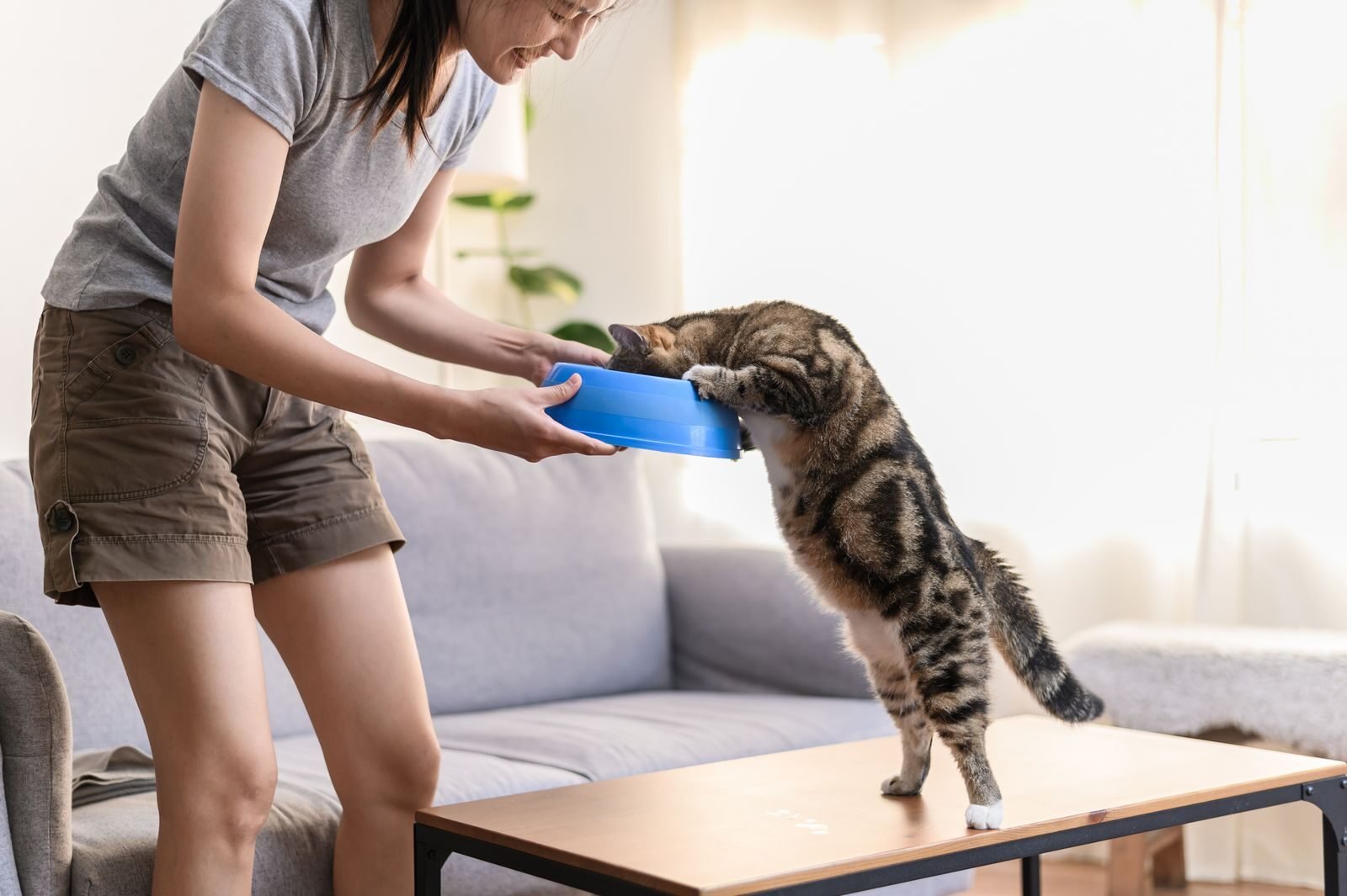 A woman feeds a curious cat indoors, creating a playful moment in a cozy living room.